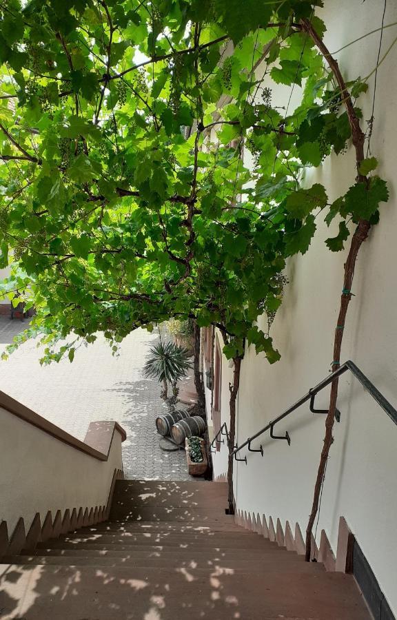 Das Landhotel Weingut Gernert Sankt Martin Buitenkant foto
