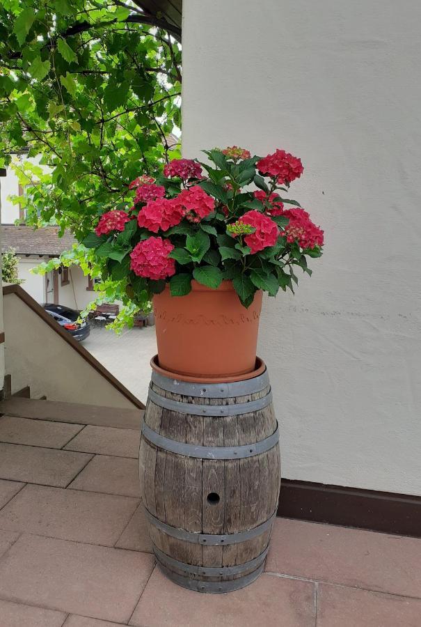 Das Landhotel Weingut Gernert Sankt Martin Buitenkant foto