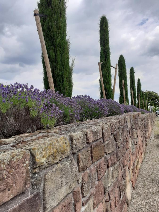 Das Landhotel Weingut Gernert Sankt Martin Buitenkant foto